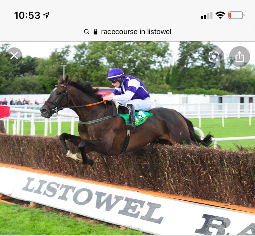 Racecourse View Hotel Listowel Kültér fotó